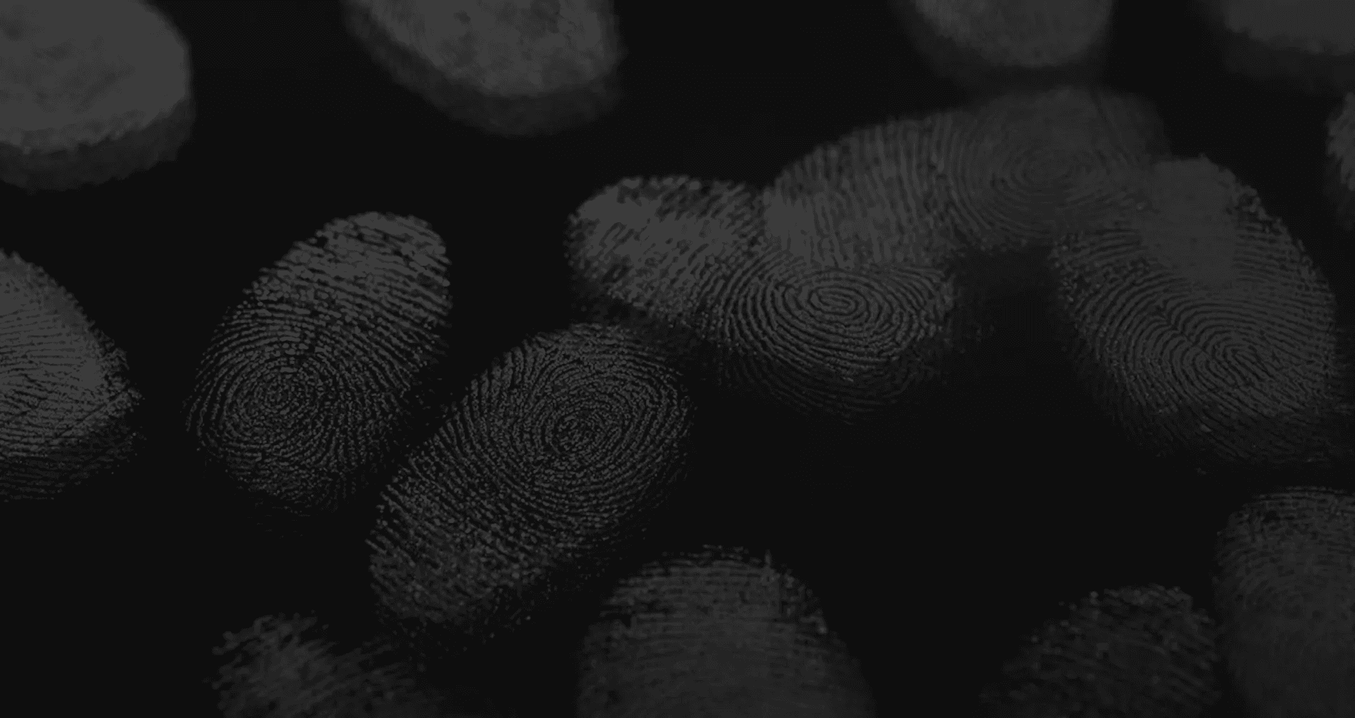 Forenseek